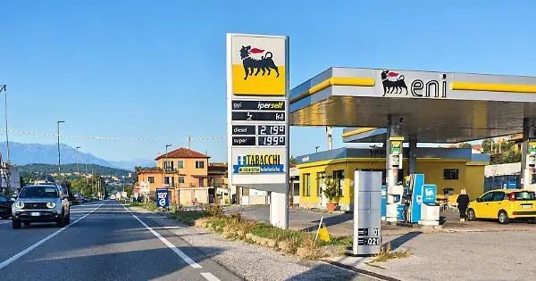 A chi non si ribella, la fine del sorcio è quello che si merita